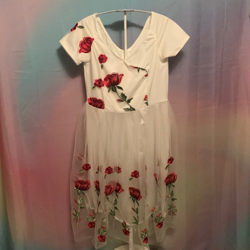 Embroidery flower dress- red flowers, over white sheer size Large